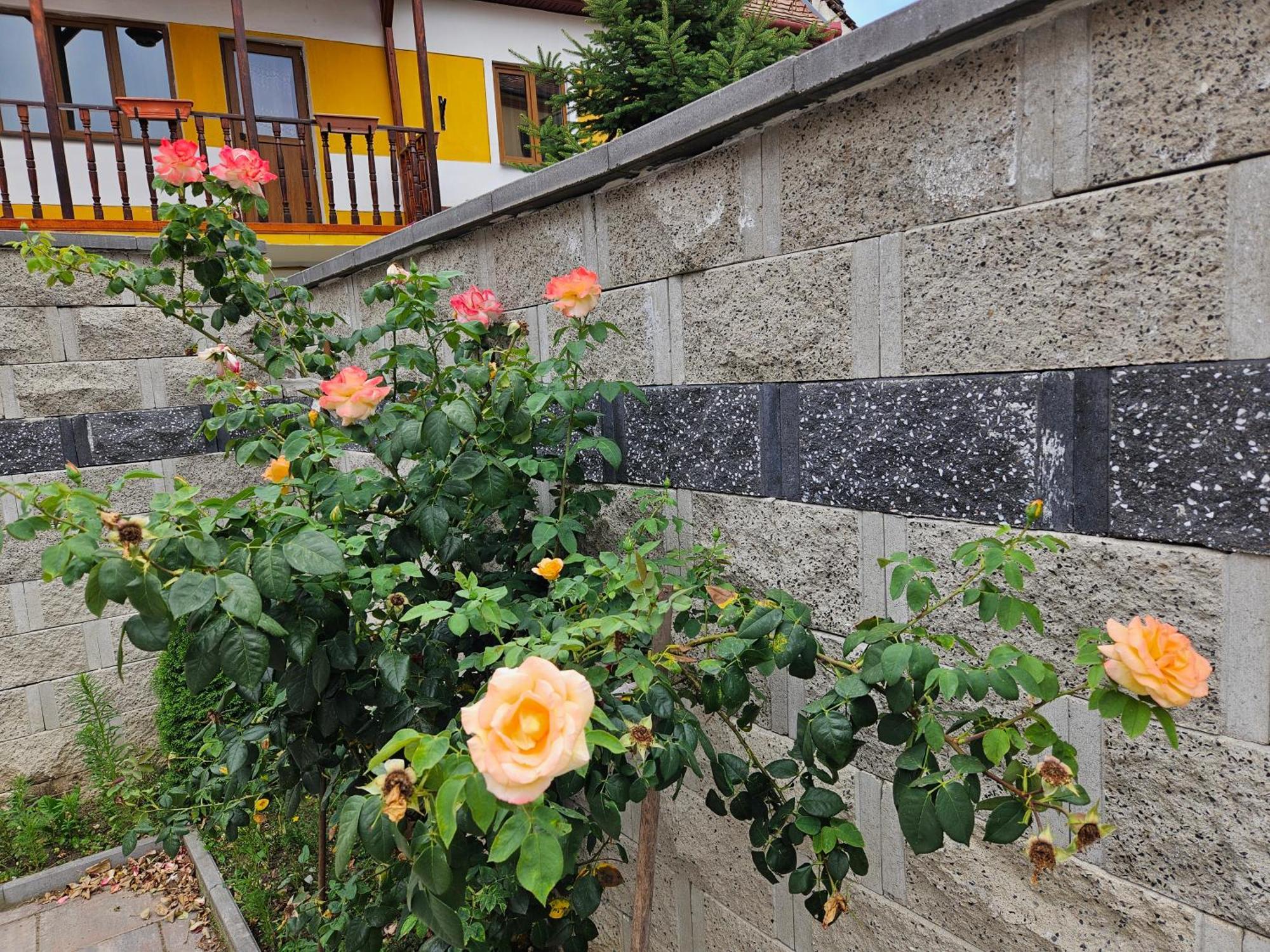 Casa Raduly Aparthotel ซีบิว ภายนอก รูปภาพ